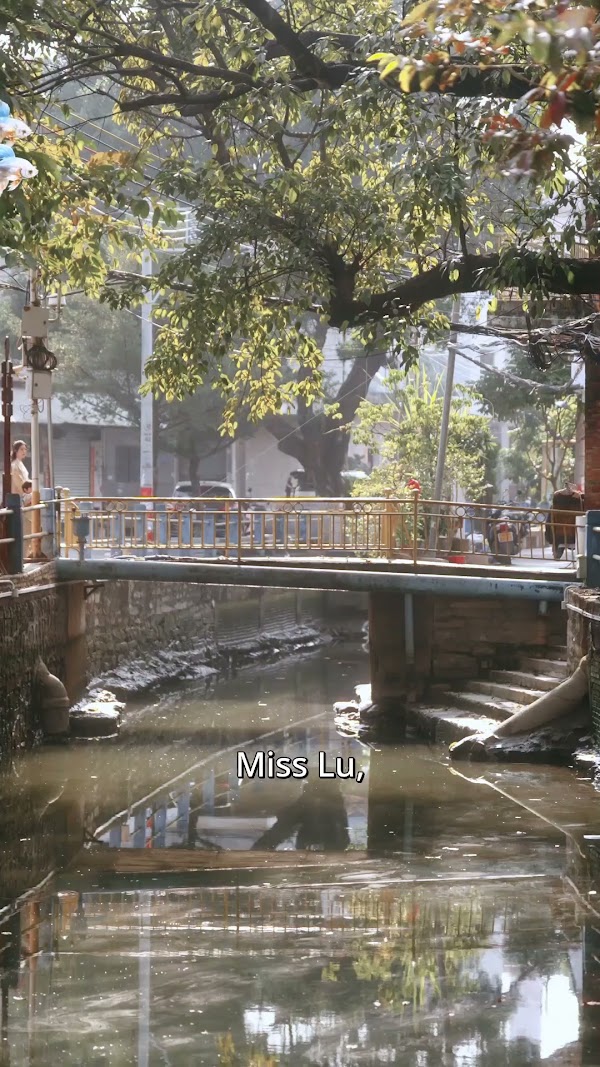 When Fish Swim to Land
